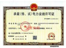 点击查看详细信息<br>标题：电力设施许可证 阅读次数：213